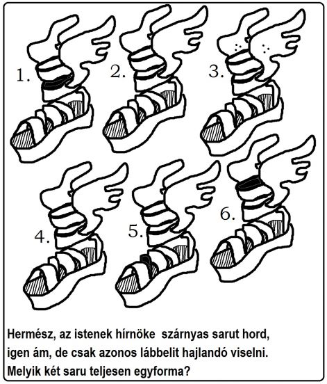 szarnyas_saru.jpg szarnyas_saru.jpg